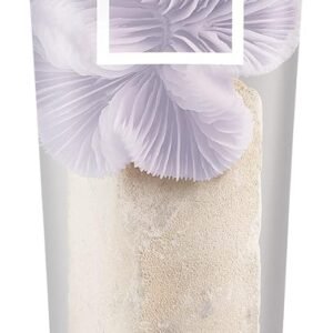 Wella Professionals Color Fresh Mask, Temporary Colour Refresh Treatment