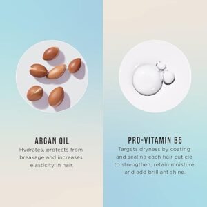 HASK Argan Oil Shampoo, Repairing for all hair types, colour safe, and cruelty-free - 1 355mL Bottle