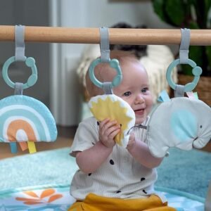 Ingenuity: ity by Ingenuity, Sun Valley Wooden Toy Arch & Play Mat, Foldable A-Frame Bar with 3 Removable Toys, Machine-Washable Mat, Unisex, for Ages 0-36 Months