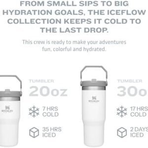 Stanley IceFlow Stainless Steel Tumbler - Vacuum Insulated Water Bottle for Home, Office or Car Reusable Cup with Straw Leak Resistant Flip Cold for 12 Hours or Iced for 2 Days, Ash, 30OZ