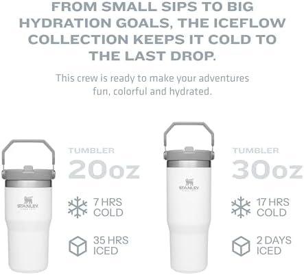 Stanley IceFlow Stainless Steel Tumbler - Vacuum Insulated Water Bottle for Home, Office or Car Reusable Cup with Straw Leak Resistant Flip Cold for 12 Hours or Iced for 2 Days, Ash, 30OZ