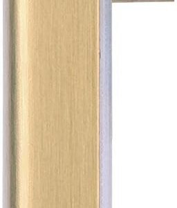 Schneider Electric Lisse Screwless Deco - Single Blank Plate, GGBL8010SB, Satin Brass